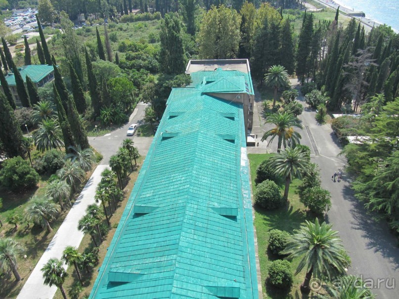 вид из окна