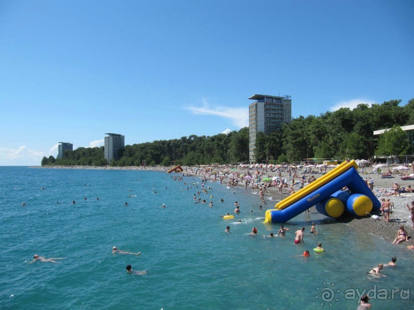 заповедный парк в Пицунде