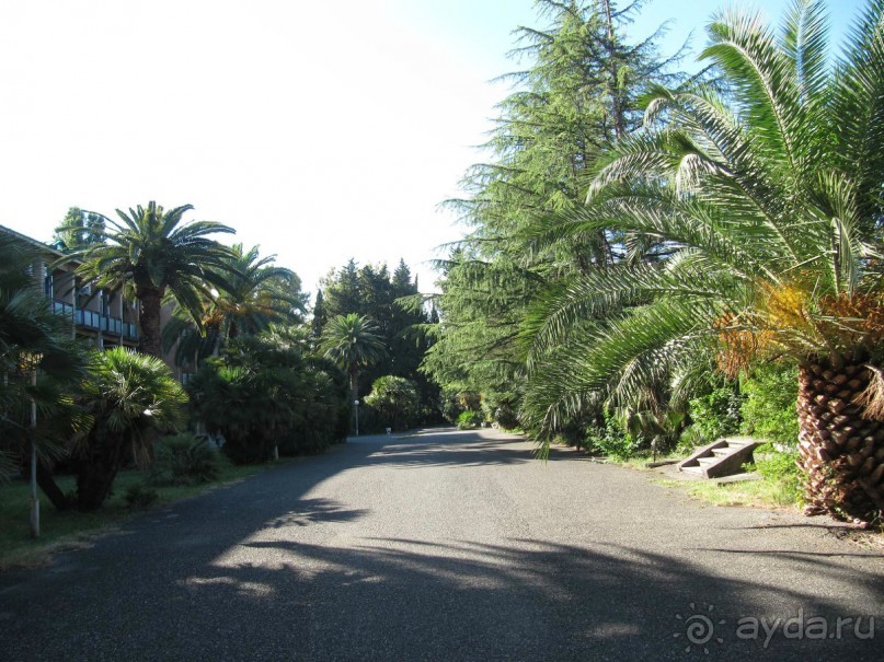 территория пансионата Энергетик