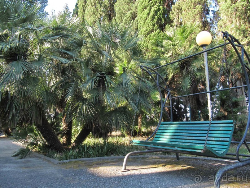 территория пансионата Энергетик