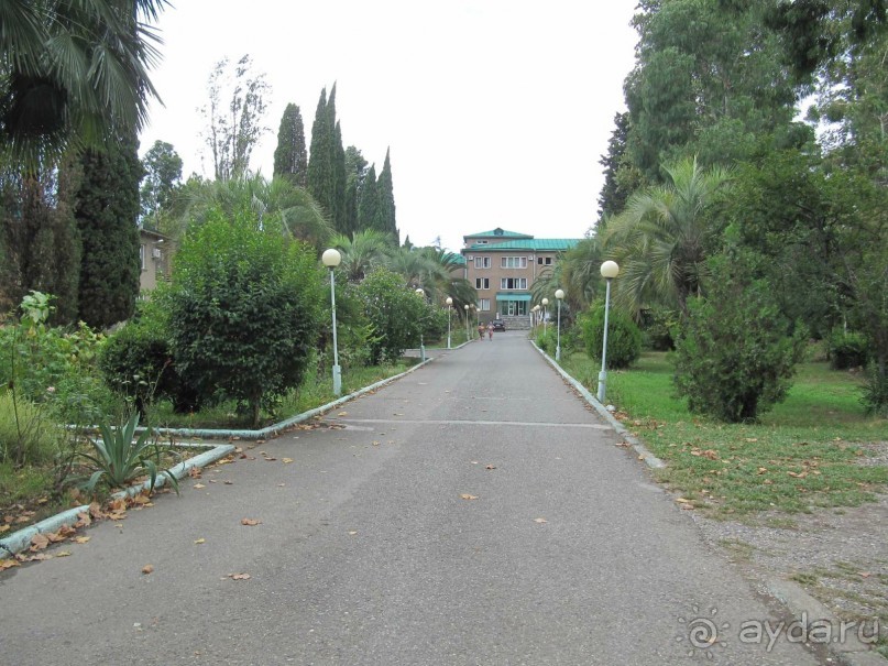 территория пансионата Энергетик