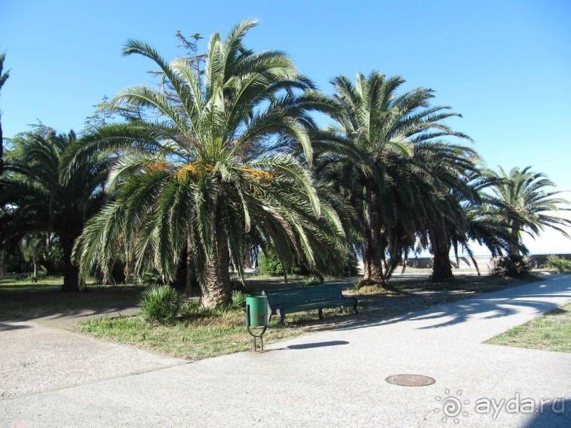 территория пансионата Энергетик