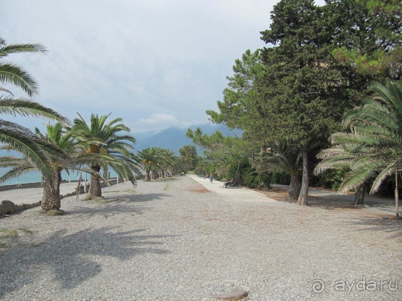 территория пансионата Энергетик