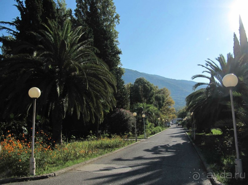 территория пансионата Энергетик