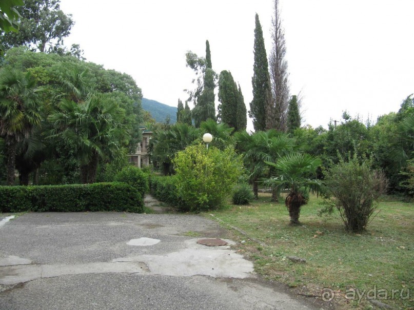 территория пансионата Энергетик