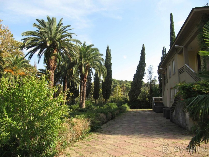 территория пансионата Энергетик