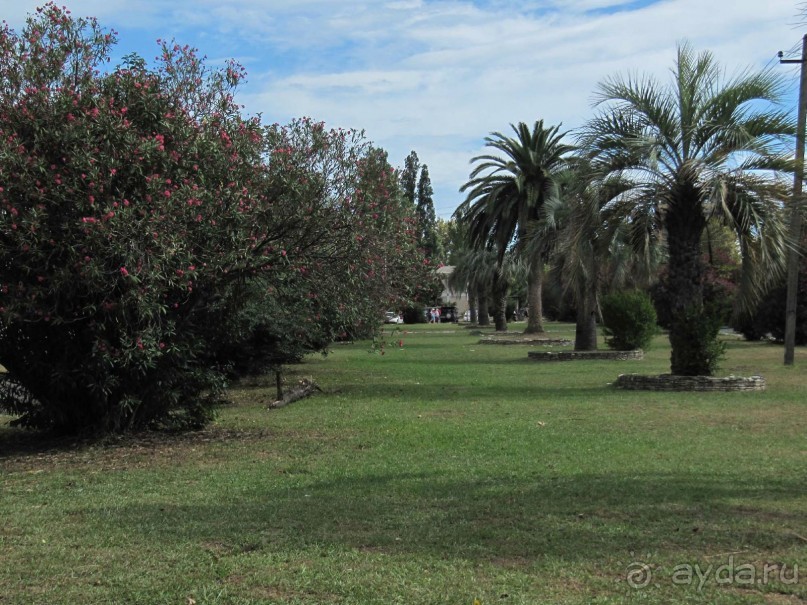 территория пансионата Энергетик