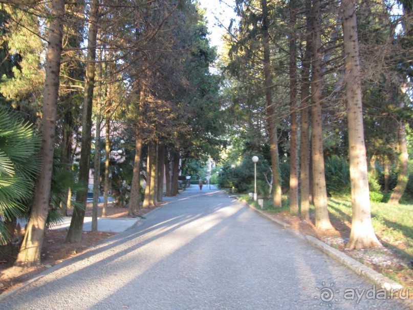 территория пансионата Энергетик