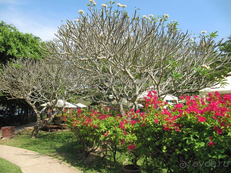 Отель рекомендуем для спокойного и комфортного отдыха