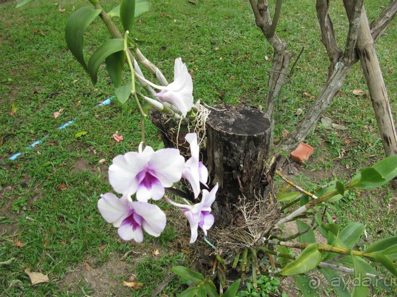 Отель рекомендуем для спокойного и комфортного отдыха