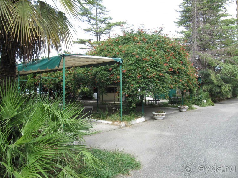 фото Энергетик