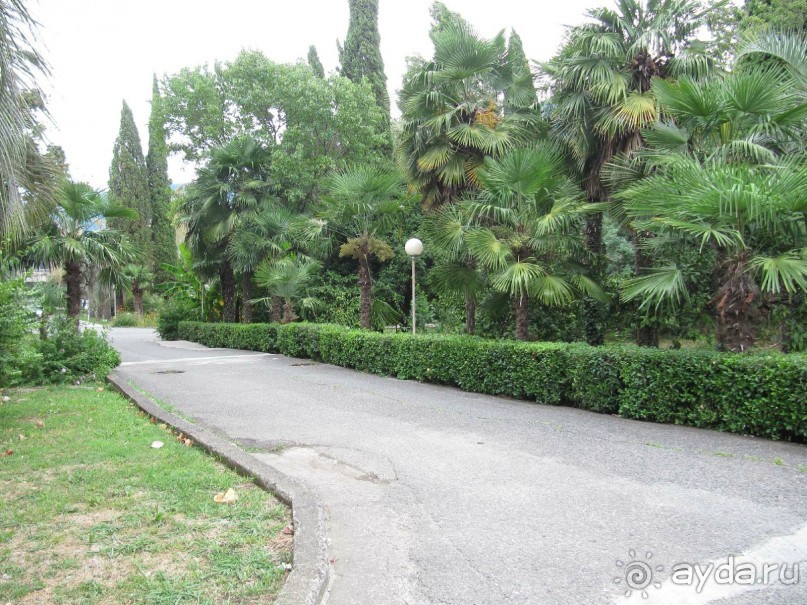 фото Энергетик