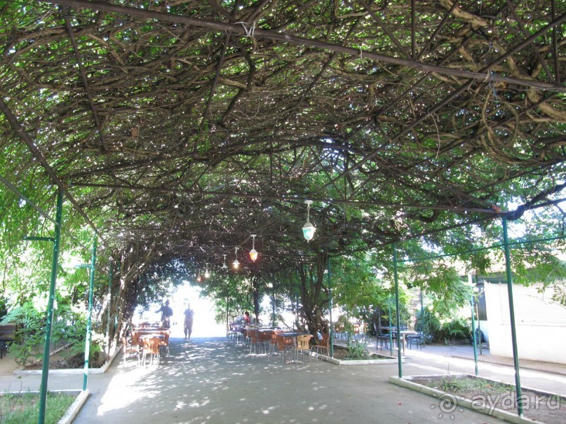 фото Энергетик