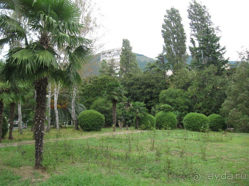 фото Энергетик