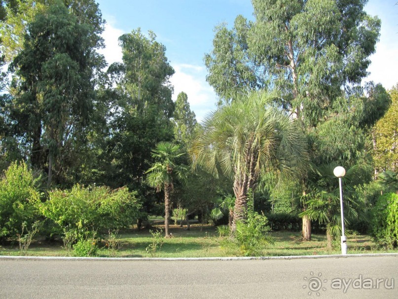 фото Энергетик