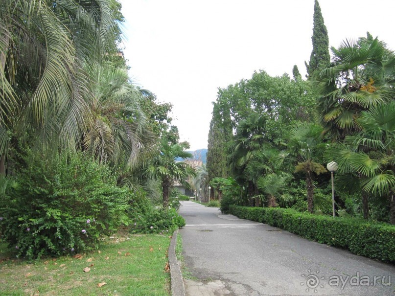 фото Энергетик