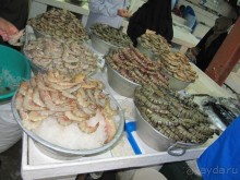 Объединенные Арабские Эмираты, Шарджа