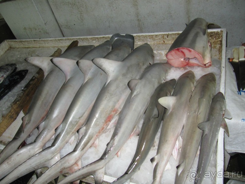 фото Holiday International Sharjah Hotel