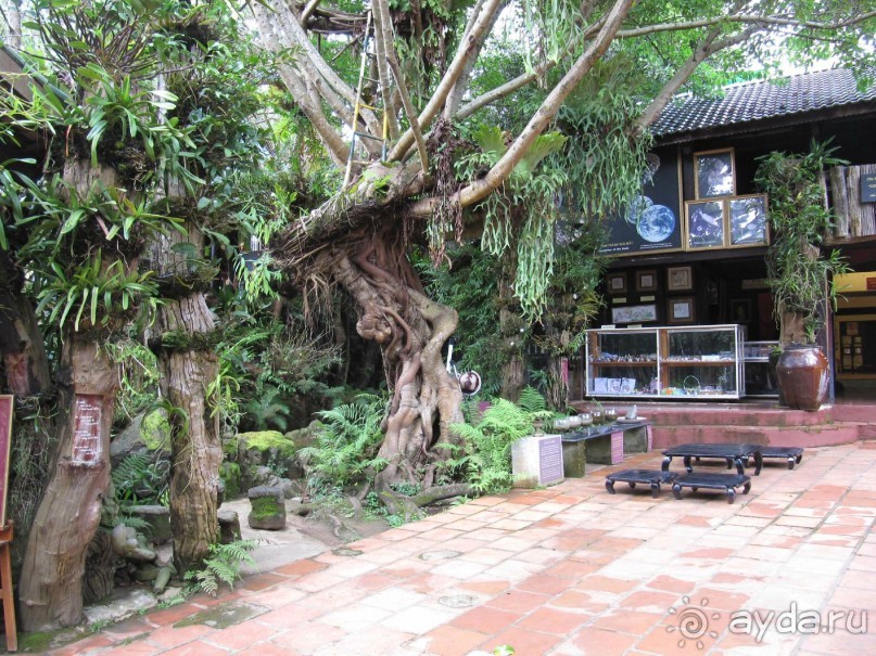 фото Grand Faros