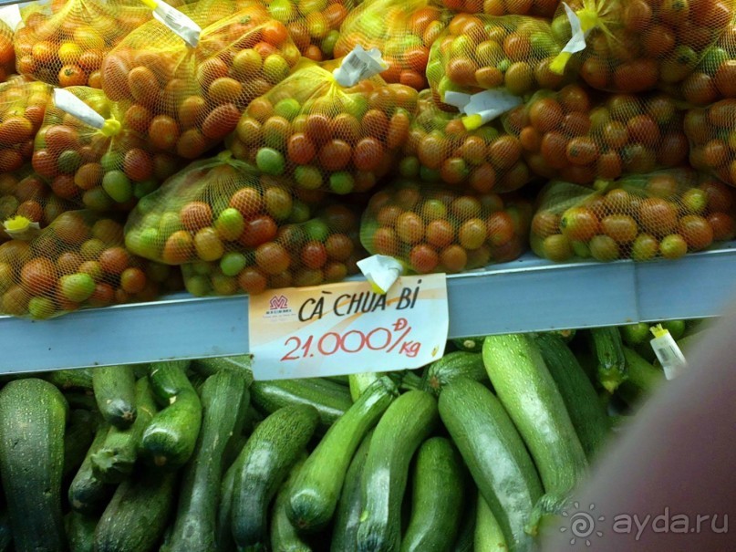 фото Grand Faros