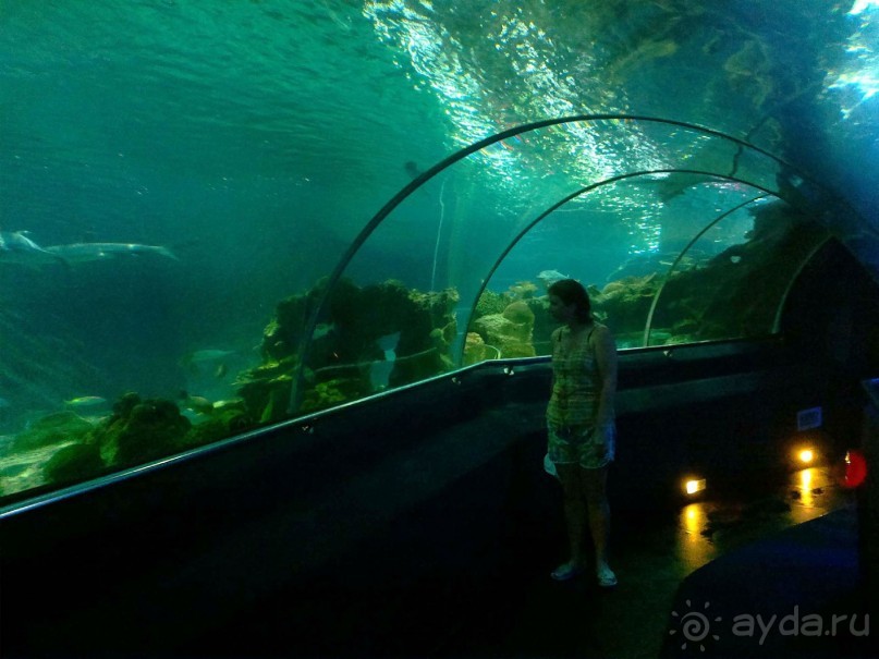 фото Grand Faros