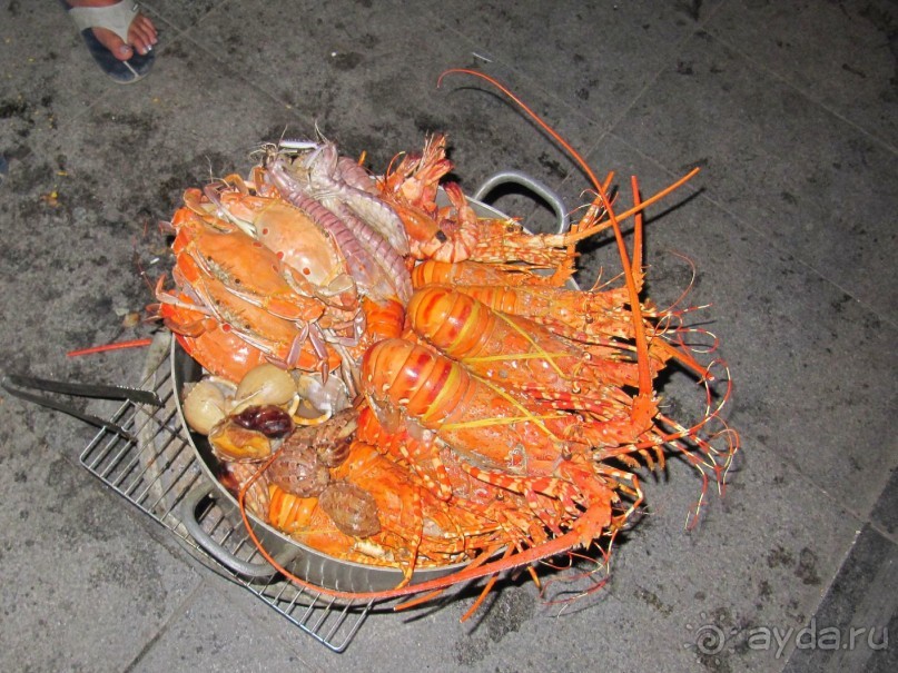 фото Grand Faros