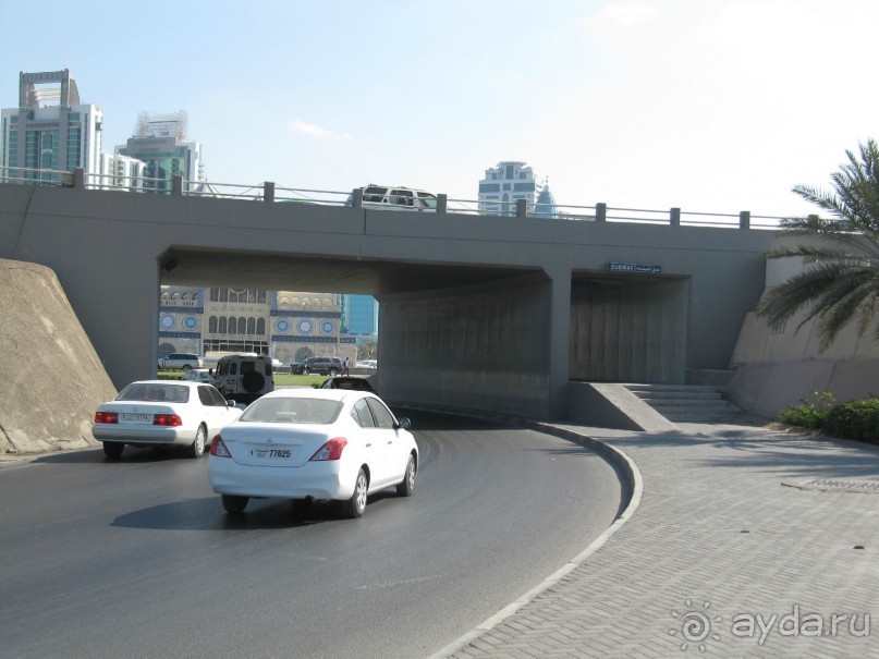 фото Courtenay Lodge