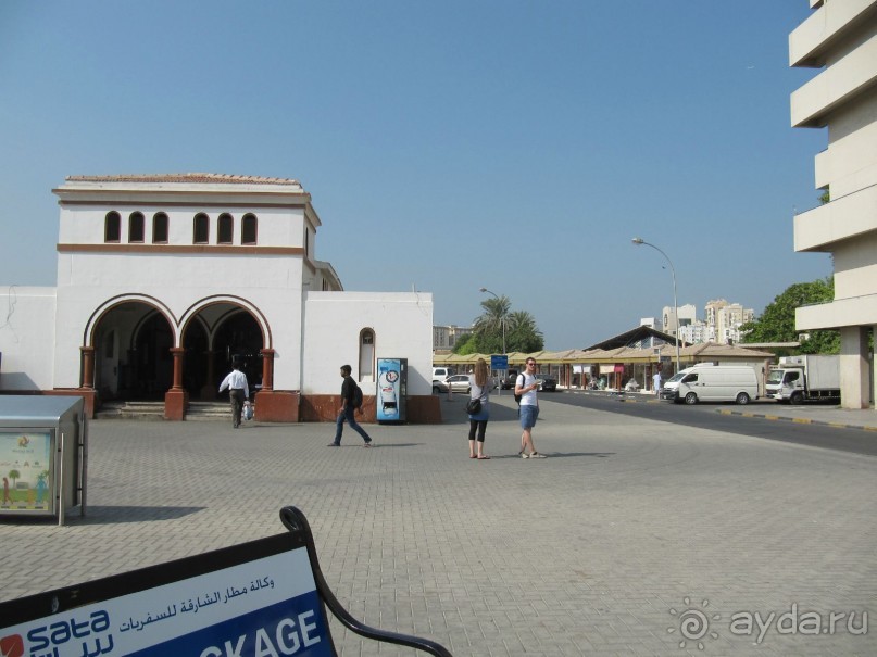 фото Courtenay Lodge