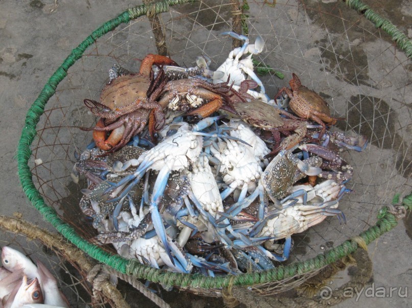 фото Courtenay Lodge