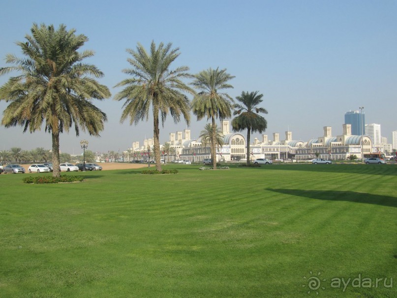 фото Courtenay Lodge