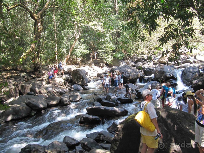 Индия, Гоа, отель 2* Dona Alcina