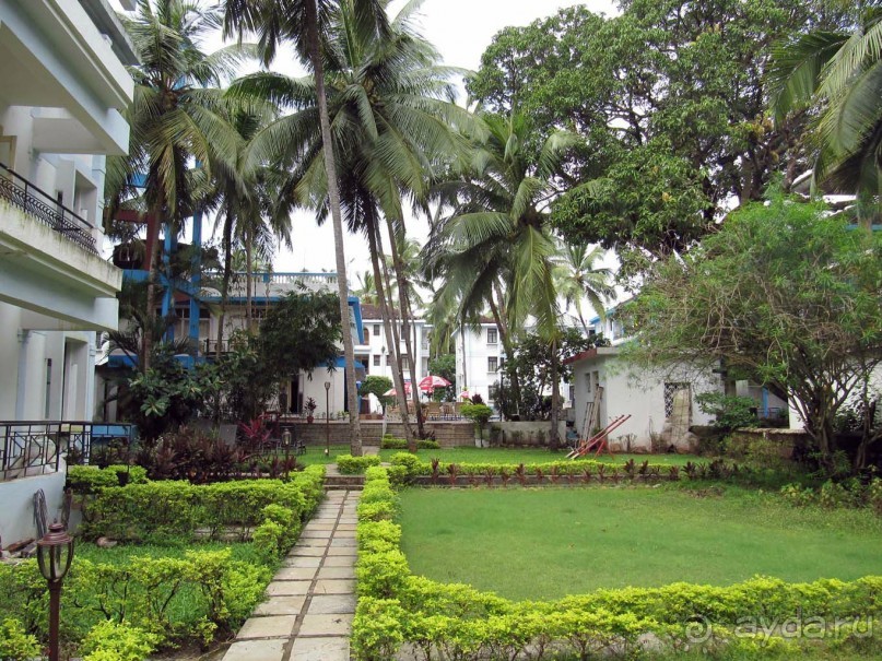 фото Калангута