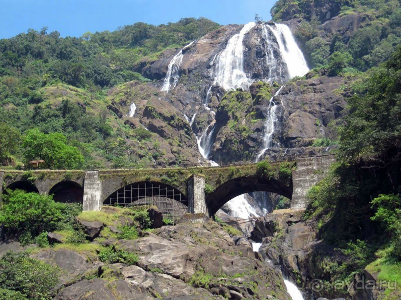 Индия, Гоа, отель 2* Dona Alcina