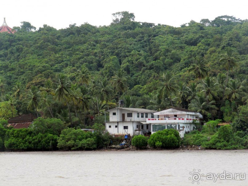 фото Калангута