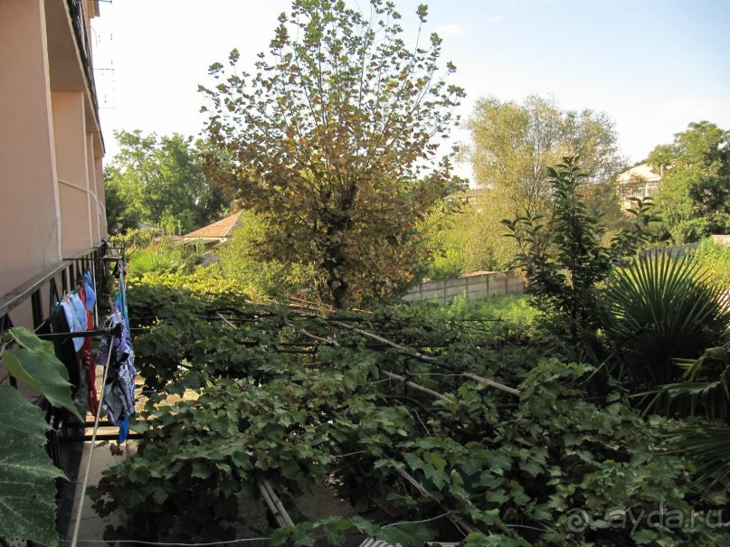 Вид с балкона влево.