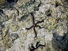 Египет, Макади Бэй, отель5 * Serenity Makadi Heights