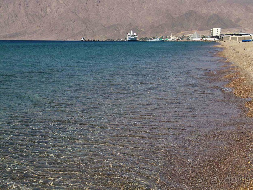 фото CIS Immobilier