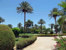 фото CIS Immobilier