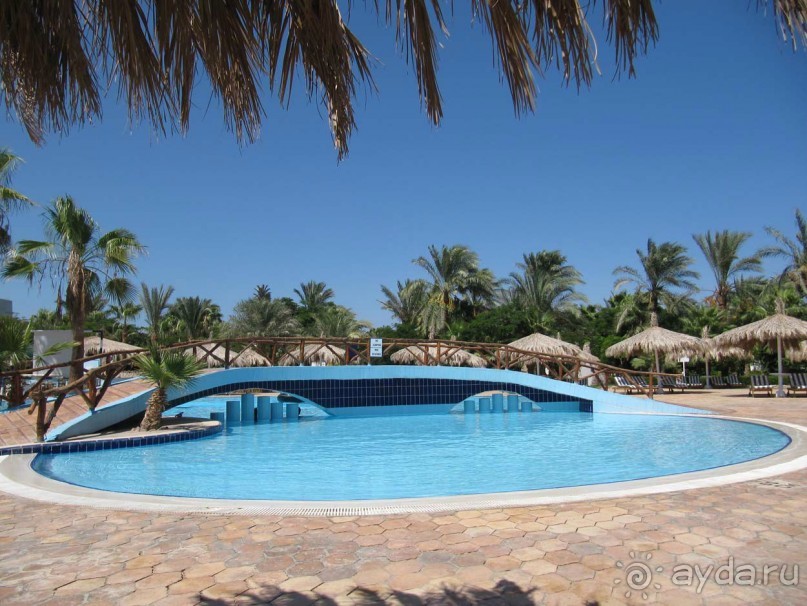 фото CIS Immobilier