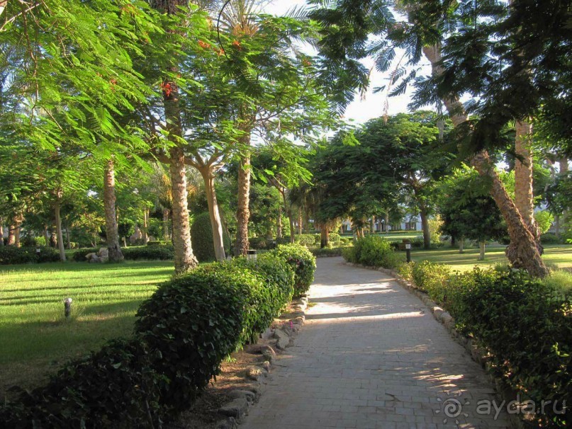 фото CIS Immobilier