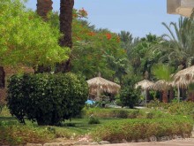 фото CIS Immobilier