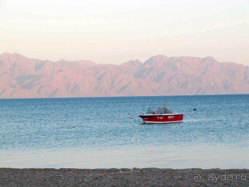 фото CIS Immobilier