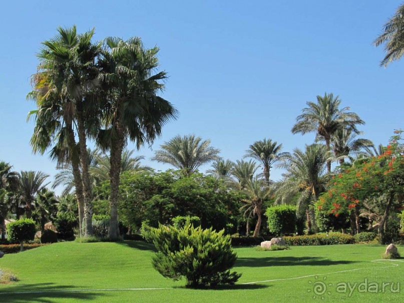 фото CIS Immobilier