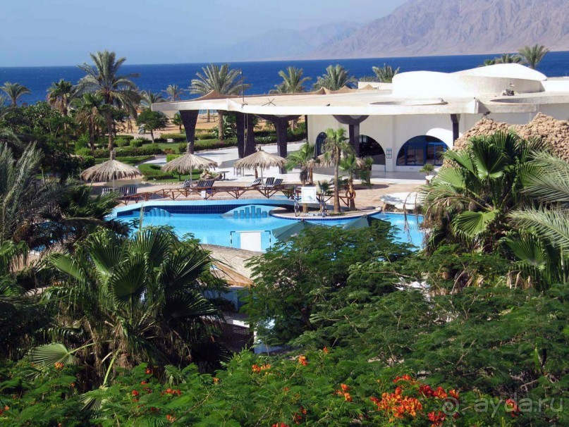 фото CIS Immobilier