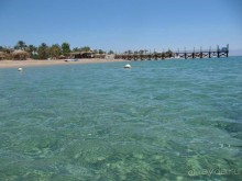 фото CIS Immobilier