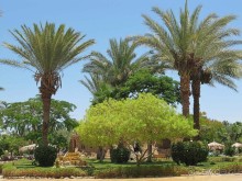 фото CIS Immobilier