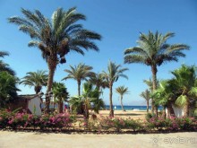 фото CIS Immobilier