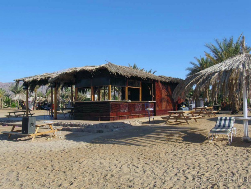 фото CIS Immobilier