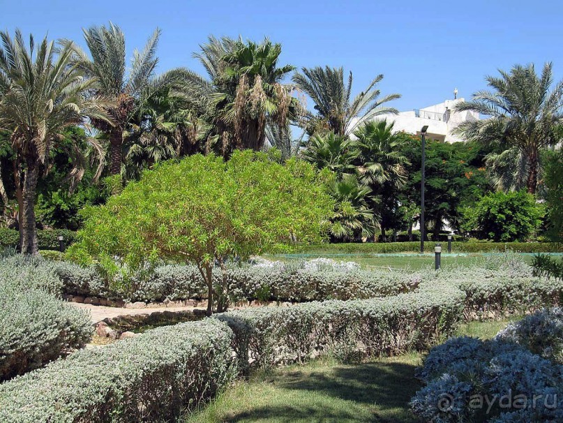 фото CIS Immobilier