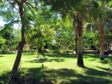 фото CIS Immobilier